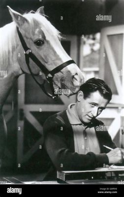  Mister Ed: Un cavallo parlante, Wilbur Post e l'umorismo senza tempo degli anni '60!